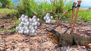 Monster eggs spotted Trap a large crocodile alone Using Adjustable # Crocodile Trap