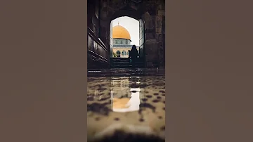 صلوا على النبي 