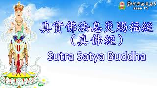 Download Lagu Sutra Satya Buddha 真實佛法息災賜福經 （真佛經） MP3