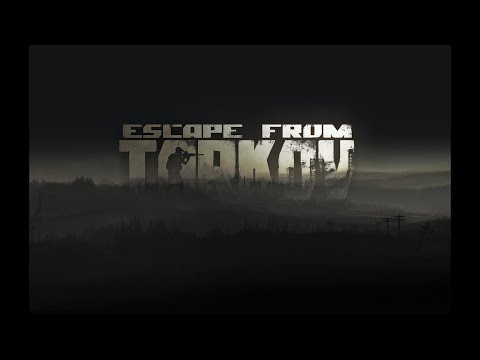 Видео: #Tarkov #576 PVE   твой выбор)