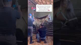 Any act of kindness can save a life. #horserescue #usahorse #ukhorses