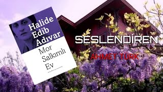 HALİDE EDİP ADIVAR - MOR SALKIMLI EV    ( PART -1)