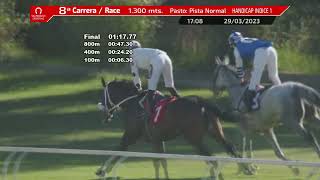 Vidéo de la course PMU PRIX VICTORY ROAR