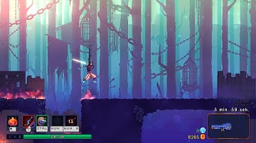 Bug: Invisible Wall [Dead Cells]