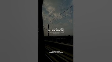 فَلَمَّا زَاغُوا أَزَاغَ اللَّهُ قُلُوبَهُمْ ۚ ❤🌹 تلاوة قرانية بصوت جميل