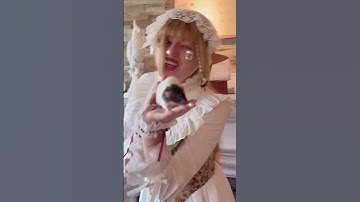 Thumbnail of El Fato El Rato El Bato El Gato 🐈 #worldpeace #freckledzelda