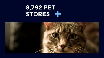 Economic Data: Pets