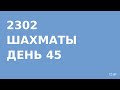 2302 - Шахматы - день 45