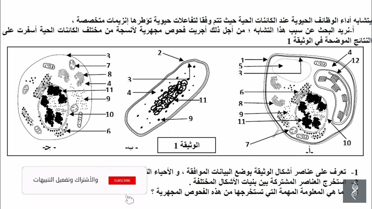 الاختبار الثاني في العلوم الطبيعية للسنة الثانية ثانوي