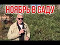 Садовые работы в ноябре / Игорь Билевич