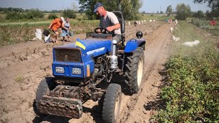 Бачили скільки картоплі вродило ! Копаємо саморобною копалкою! Урожай бомба! Dongfeng -254 💙💛