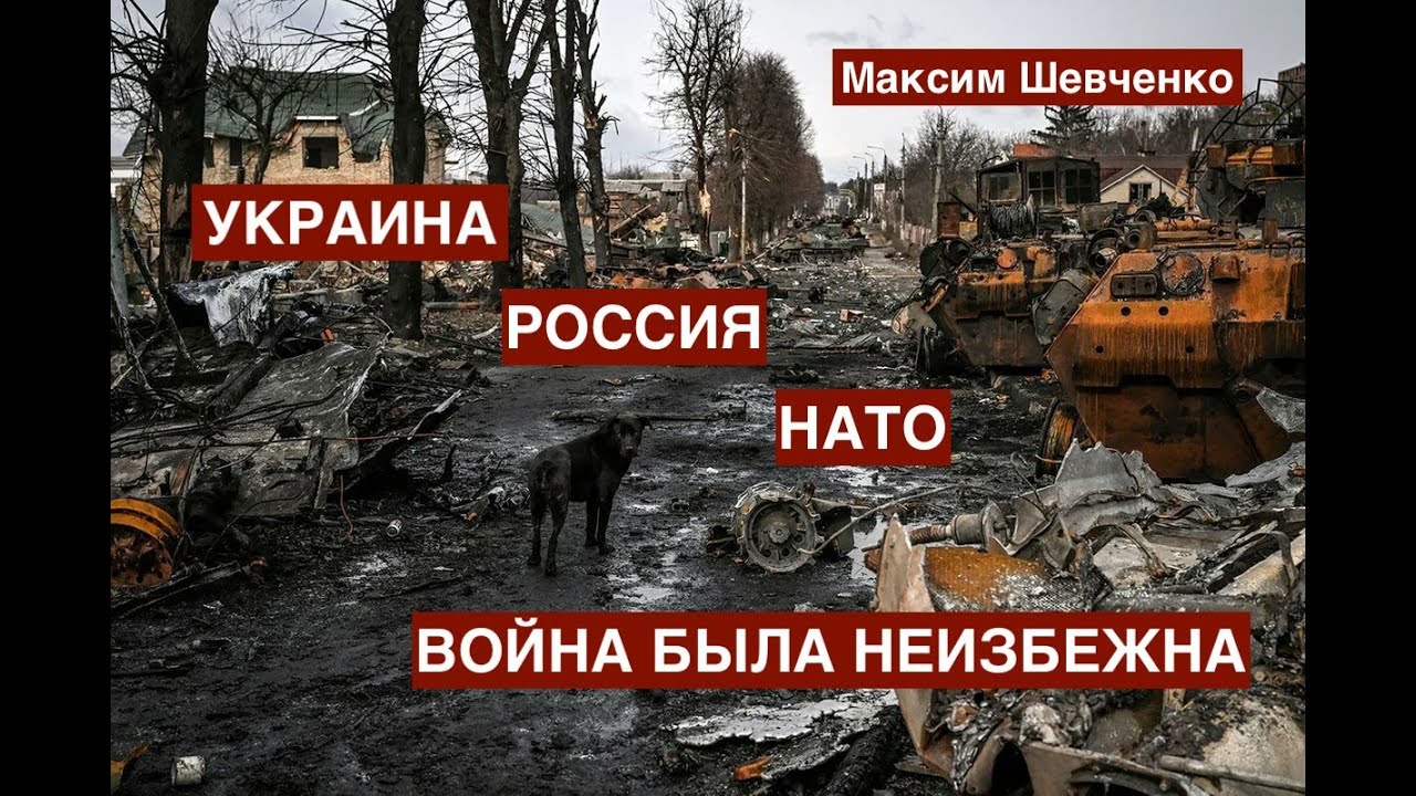 Шевченко об Украине, России, НАТО и ТНК: война была неизбежна. Интервью ZONA.KZ