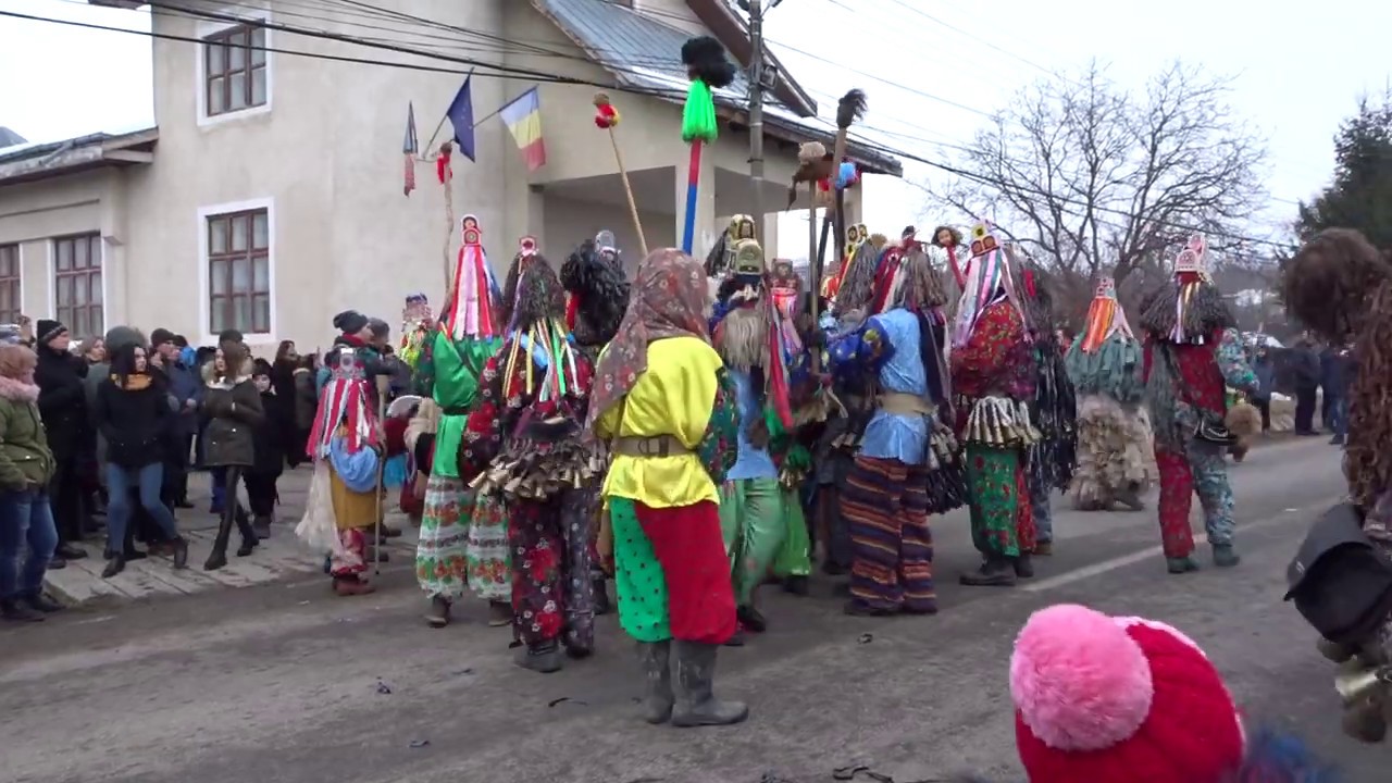 Ursul de la Blagesti 2018 - 2019 part 5