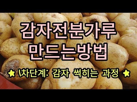 [감자전분] 감자전분가루 만들기★ 1차단계(감자썩히기)