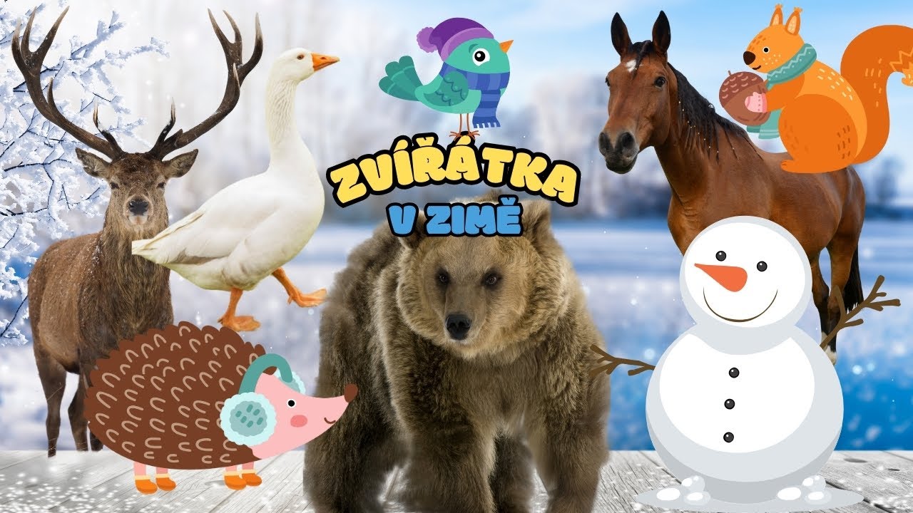❄️ Co dělají ZVÍŘÁTKA V ZIMĚ? 🐻 Zábavné vzdělávací video pro děti | Hádáme stíny zvířat | Zvířátka❄️