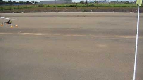 990427 trex 250 4min.wmv