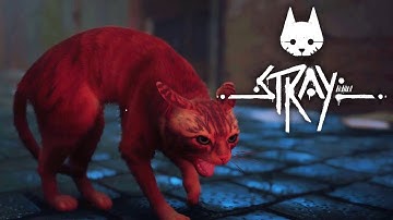 STRAY - Gameplay Walkthrough - No Commentary - Part 1