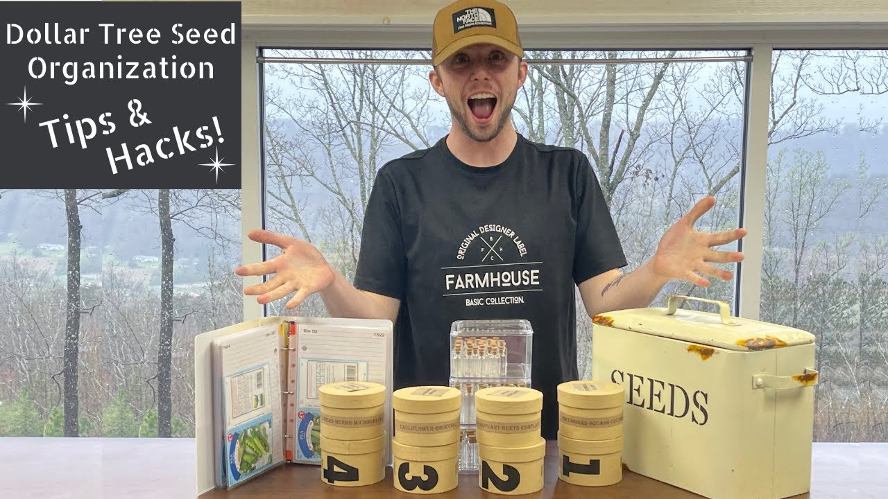 Seed Organization in 6 Amazingly Simple Ways using Dollar Tree Items