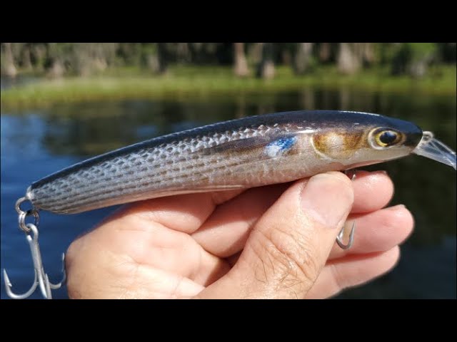 Making a Minnow Lure, from popsicle sticks #fishinglures #makinglures  #crankbaits 