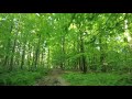 [實景虛擬跑步游] 跑步機視頻 | 比利時森林跑| Virtual Run for Treadmill |Beautiful Forest Run, Anhée, Belgium