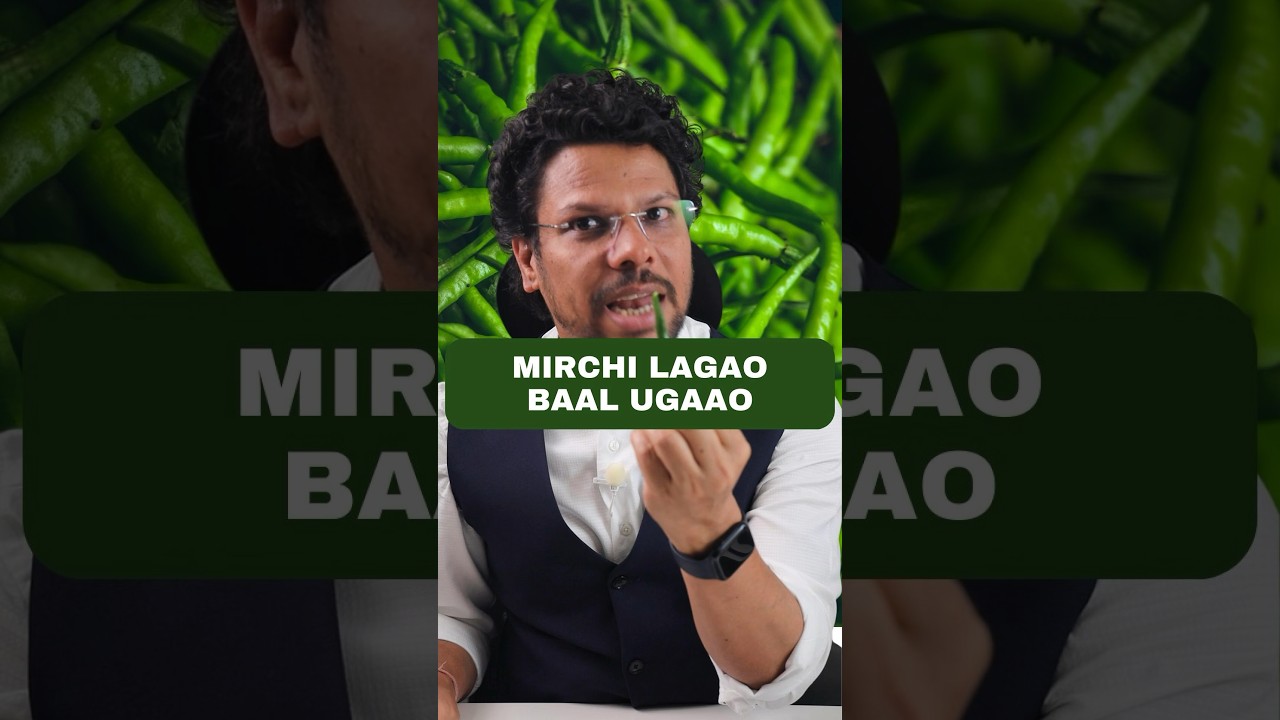 Hair Regrowth in 42 Days by Chilli  