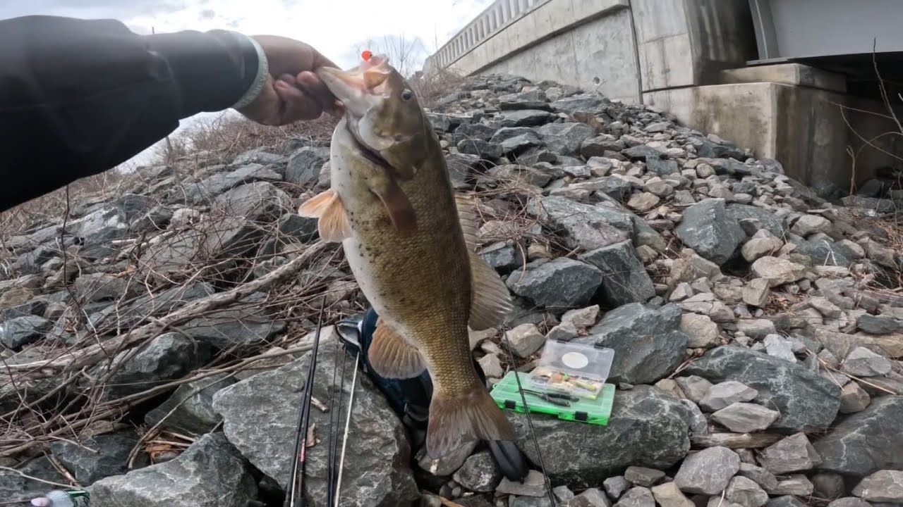 There’s always big bass at the bridge