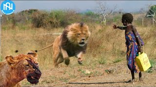 When Animals Go On A Rampage! Interesting Animal Moments CAUGHT ON CAMERA! #37