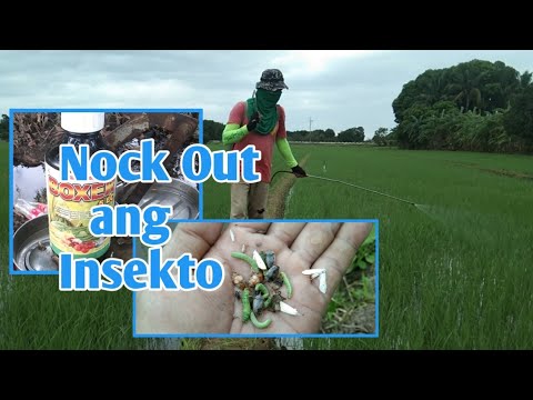 Video: Ang mga pestisidyo ba ay mga sintetikong kemikal?