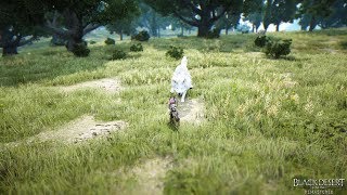 ホワイトウルフハンティングデイリー screenshot 4