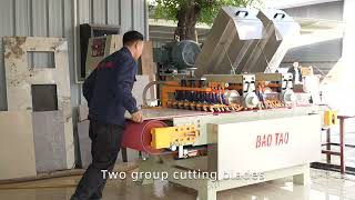 Baotao 800 multiple disc cutting machine