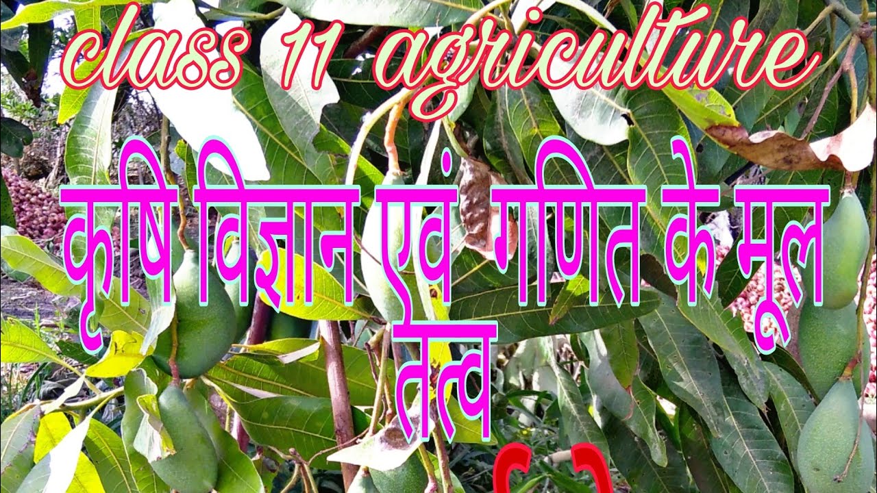 class 11 agriculture कृषि विज्ञान एवं गणित के मूल तत्व पाठ 1 पदार्थ के