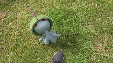 Pokémon GO Community Day—Featuring Ralts!
