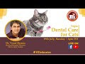 Webinar #15 : Dental Care for Cats