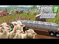 Какая доходность с 1000 овец? Farming Simulator 17