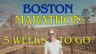 Is My Goal Race Pace Too Conservative!!??  | Boston Marathon Training Week 8