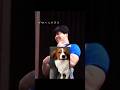 🐶💕伝わらない愛犬の話し #大谷翔平 #デコピン #あるある