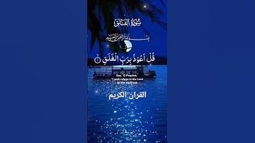 سورة الفلق #القرآن_الكريم #quran #foryou #islamicvideo #shortvideo #malikzaheerd3t