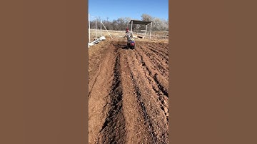 Making beds with the BCS #growyourownfood #smallfarm #ecofarm #farmlife #farming #farm #organic #diy
