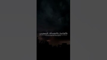 سورة الكافرون..شریف مصطفی..ارح قلبك