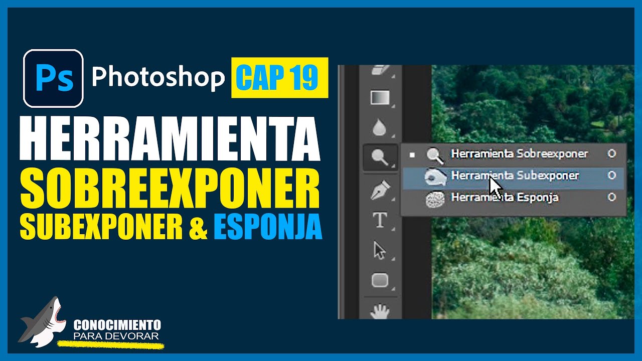 ⭐PHOTOSHOP 19 | HERRAMIENTA SOBREEXPONER, SUBEXPONER & ESPONJA - YouTube
