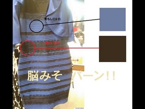実験してみた Vol.1 【話題のドレスの色を吸い出して