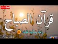 قرآن الصباح ☀️ قرآن كريم بصوت جميل جدا جدا يريح القلب 🤍 القارئ ماجد الدعوس