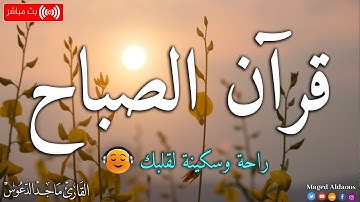 قرآن الصباح ☀️ قرآن كريم بصوت جميل جدا جدا يريح القلب 🤍 القارئ ماجد الدعوس