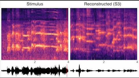 Sound reconstruction from human brain activity (Park et al., 2023; S1)