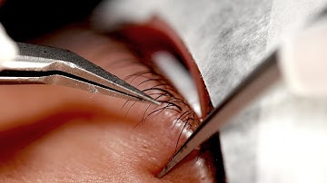 Top and Bottom Lash Extensions | Beauty Wow