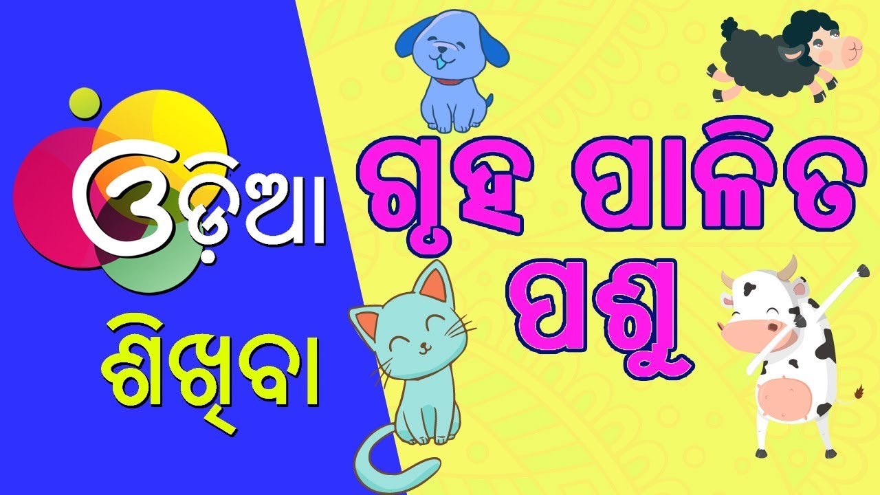 Odia Learning Videos || Learn Domestic Animal Names || Odia Learning Videos  || Kuhuka Kahani - YouTube