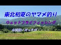 フライ編【ウェットフライフィッシング5】東北初夏のヤマメ釣り~釣り上がり