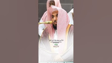 ودخل المدينة على حين غفلة من أهلها_سورة القصص_صلاة الفجر 14 ذوالقعدة 1446هـ_الشيخ أ.د عبدالله الجهنؤ