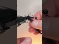 The Creeper Bug Fly Pattern Short