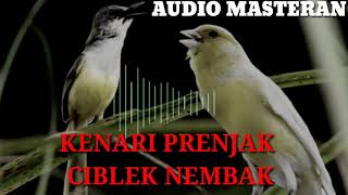 Audio  KOMBINASI KENARI, PRENJAK, CIBLEK NGEBREN cocok untuk MASTERAN burung LOMBA